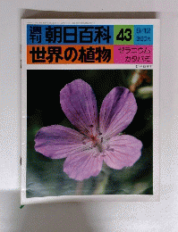  朝日百科 43