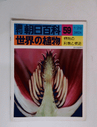 朝日百科 59　世界の植物　植物の形態と構造