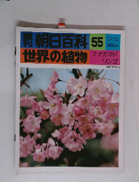 朝日百科 55