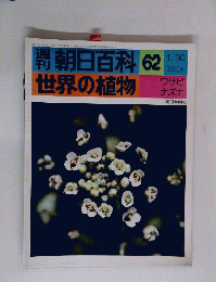 朝日百科 62　1/30　世界の植物　ワサビ　ナズナ