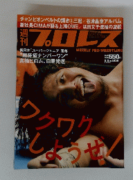 週刊プロレス 2018年6月6日号 No.1959