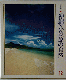 沖縄・小笠原の自然　12号