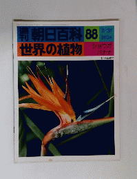 朝日百科　７月８８号