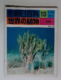 朝日百科 113