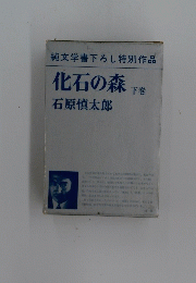 純文学書下ろし特別作品　化石の森　下
