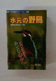 水元の野鳥