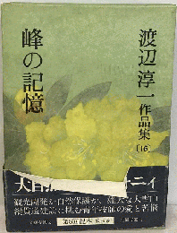 渡辺淳一作品集「16」峰の記憶