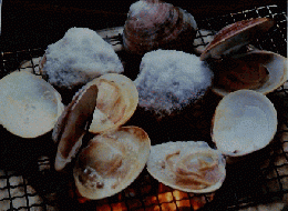 朝日百科 9/12　世界の食べもの日本編 郷土の料理 ① 滋賀・三重・和歌山・奈良