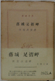 落城 足摺岬
