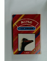 鳥とけもの 11