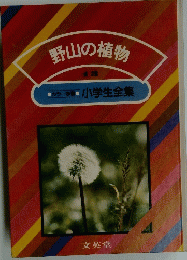 野山の植物 13