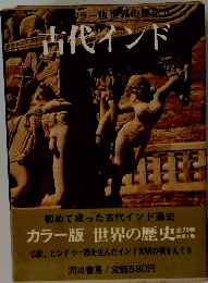 カラー版世界の歴史 6　古代インド　