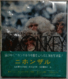 ニホンザル