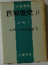 世界歴史　11　中世５