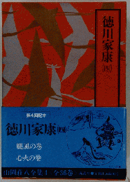 徳川家康（四）