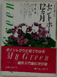 My　Green　セントポーリア12カ月　必ず花が咲く育て方