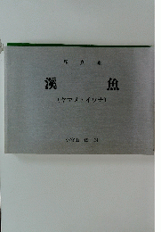 溪魚