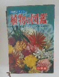 植物の図鑑