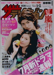 
ザ テレビジョン 2013 No21