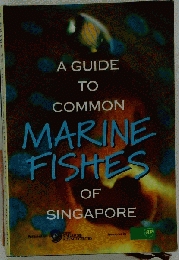 A guide to common marine fishes of Singapore