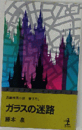 ガラスの迷路