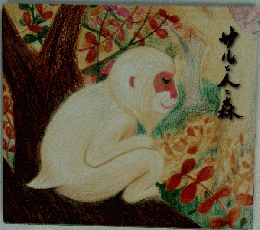 絵本「サルと人と森」 鷲見春佳絵 2012年第13刷