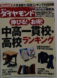 ダイヤモンド 2010年11月20日号