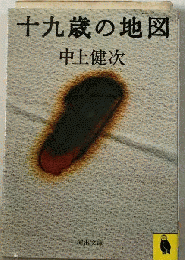 十九歳の地図