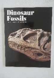 Dinosaur Fossils from Chongqing Natural History Museum