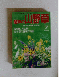 趣味の山野草 1993年7月号 No.156