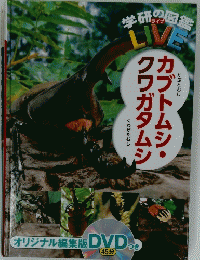 学研の図鑑　カブトムシ・クワガタムシ 　