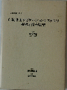 自動車用ナビゲーションシステムの 現状と将来展望