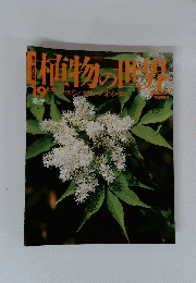 植物の世界　１９　８月２１日号