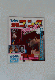 週刊　ゴング　1992年春号