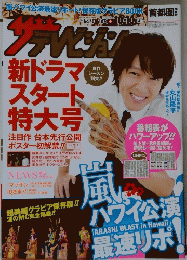 ザテレビジョン　2014　No.40