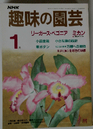 NHK趣味の園芸　1987年1月号