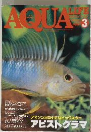 AQUA　Life　2009年3月号　