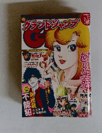 グランドジャンプ　2013年5月号　
