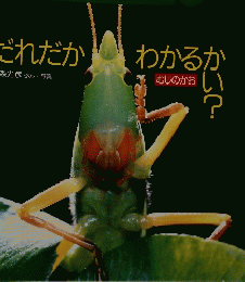 かがくのとも 8