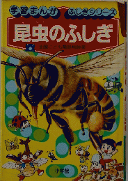 昆虫のふしぎ