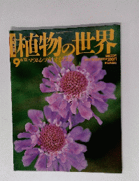 植物の世界　平成9年6月12日号　マツムシソウオミナエシ