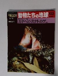 動物たちの地球　103　平成5年6月20日発行