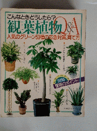 こんなときどうしたら 観葉植物