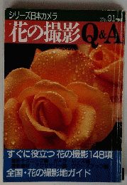 花の撮影Q&A　No. 91 １９９１年