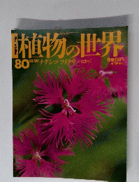 植物の世界80