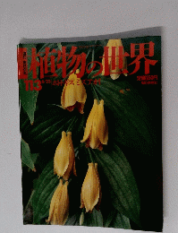 植物の世界113
