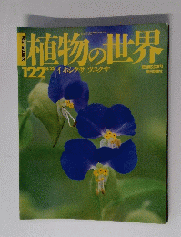 植物の世界　122