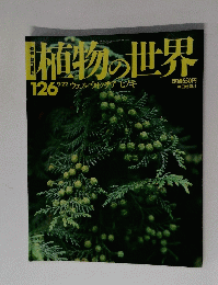 植物の世界126