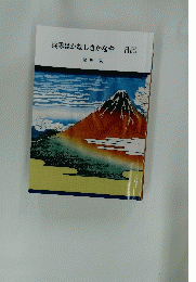 兵隊はかなしきかなや 日記　諸角弘