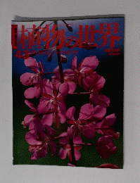 植物の世界　2月12日　４３号